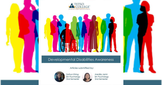 Articles on Developmental Disability Awareness